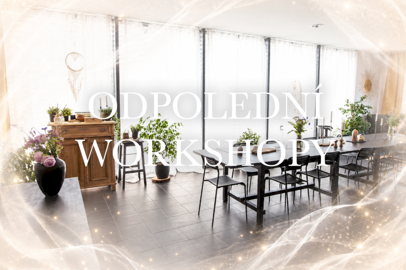 Odpolední workshopy
